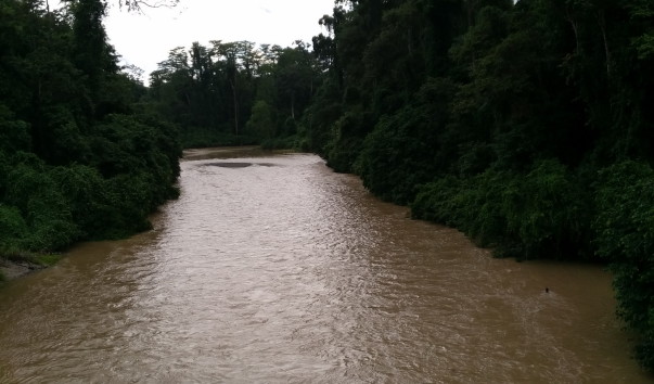 Borneo-Rainforest-Lodge2016  (97)