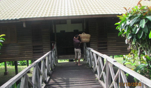 Borneo-Rainforest-Lodge2016  (95)