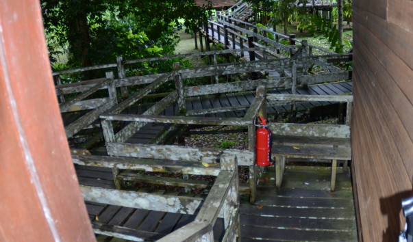 Borneo-Rainforest-Lodge2016  (23)