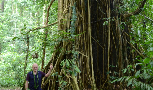 Borneo-Rainforest-Lodge2016  (13)