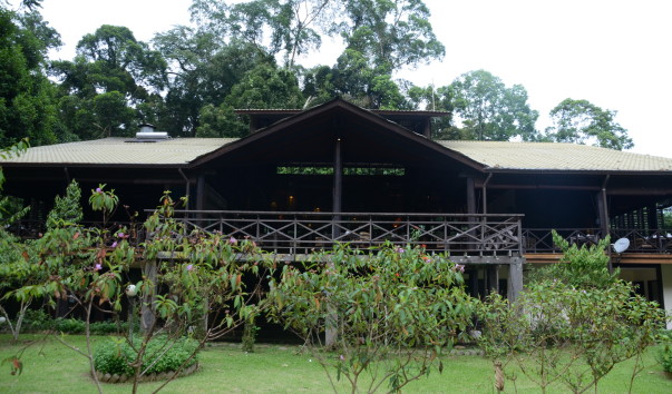 Borneo-Rainforest-Lodge2016  (6)