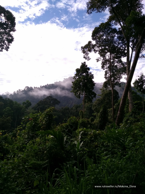 photo 1412153