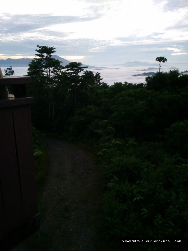 photo 1412159