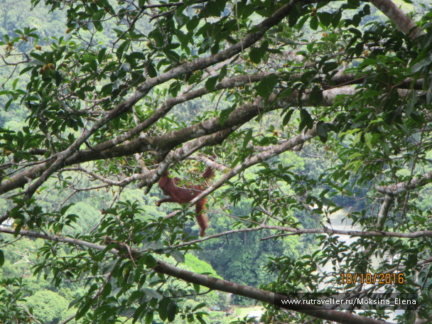 photo 1412163