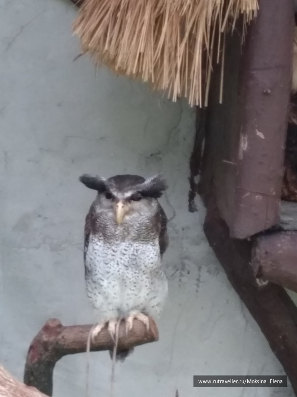 photo 1421468