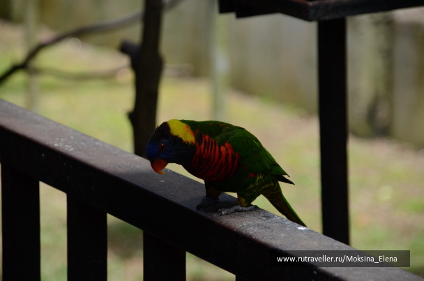 photo 1421493