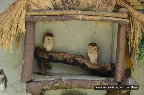 photo 1421516