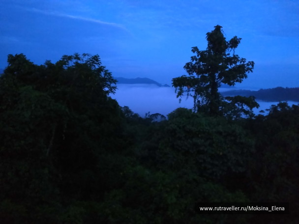 photo 1422521