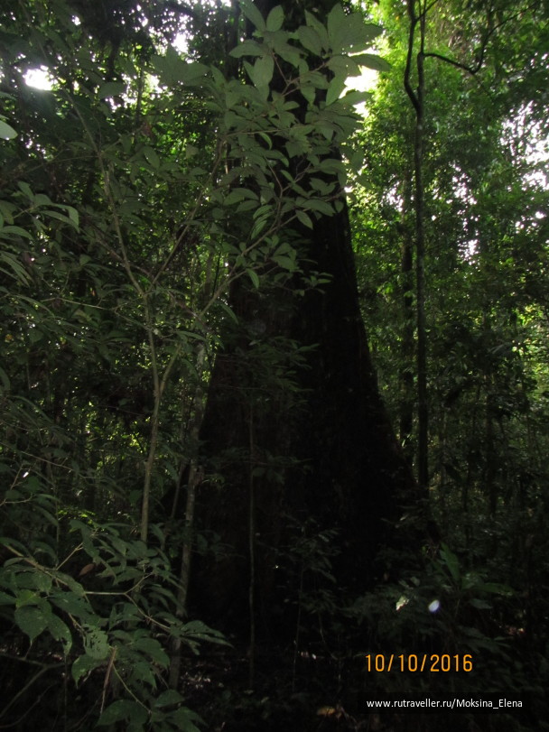 photo 1422526