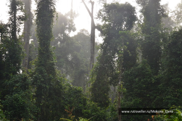 photo 1422560