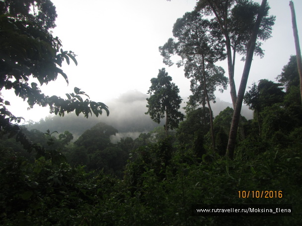 photo 1423627