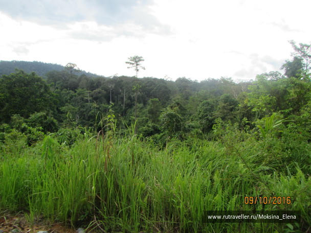 photo 1423628
