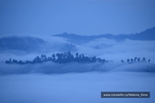 photo 1423633