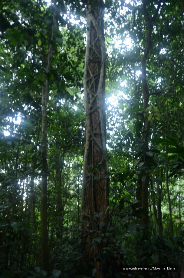 photo 1423635
