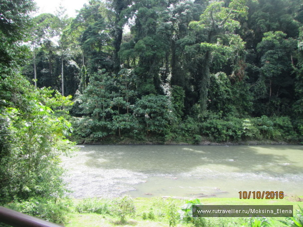 photo 1423653