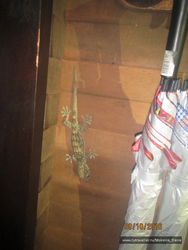 photo 1423659