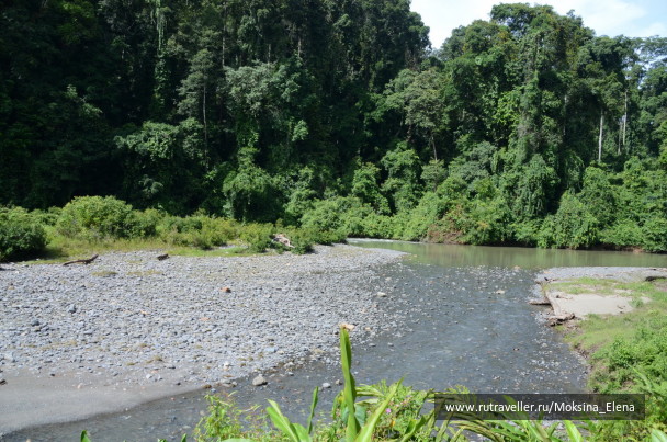 photo 1423669