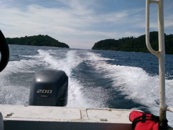 photo 1424303
