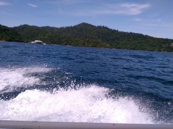 photo 1424304