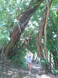 photo 1424308