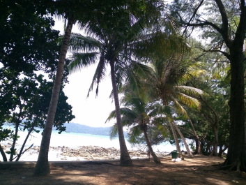 photo 1424315