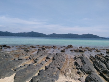 photo 1424317