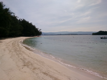 photo 1424321