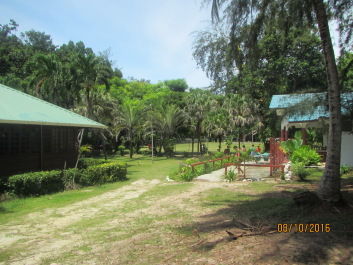 photo 1424322