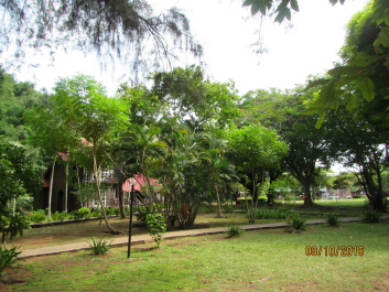 photo 1424330