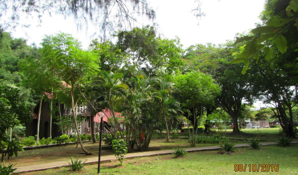 Malaysia-Pulau (5)
