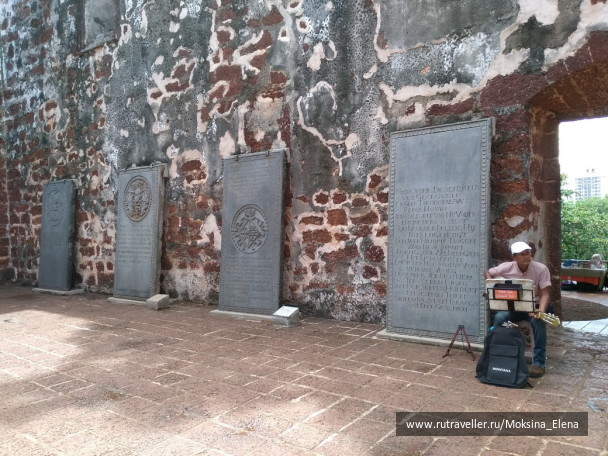photo 1426553