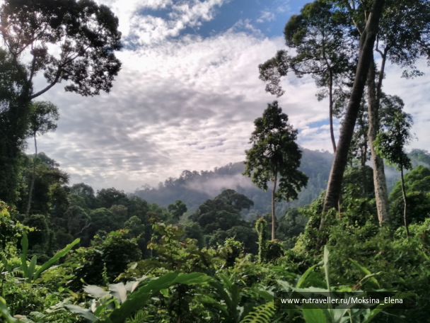 photo 1426561