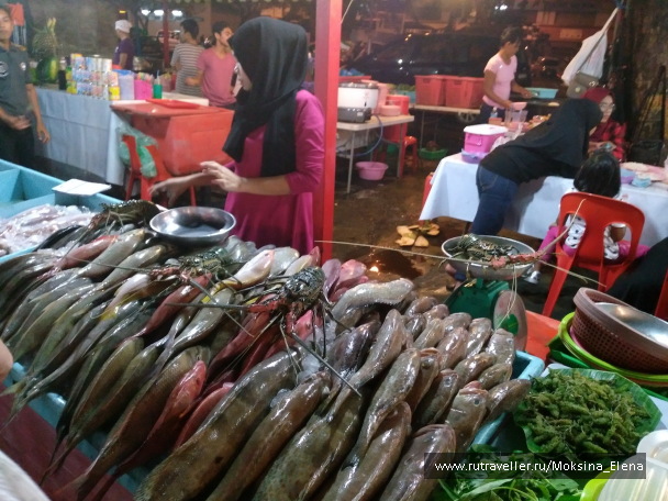 photo 1426564