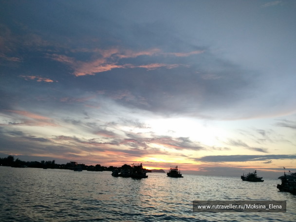 photo 1426565