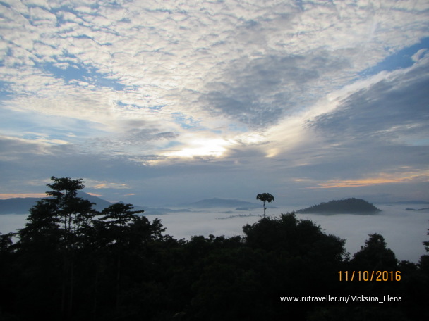 photo 1426567