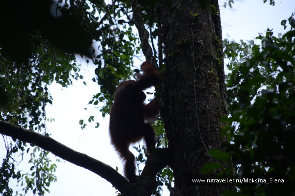 photo 1426584