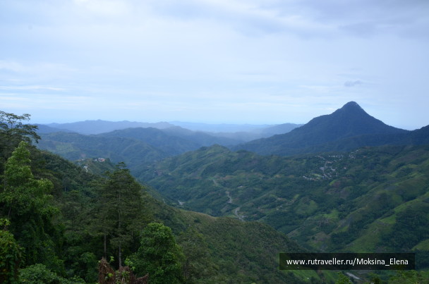 photo 1426590