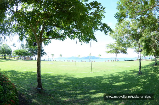 photo 1429134