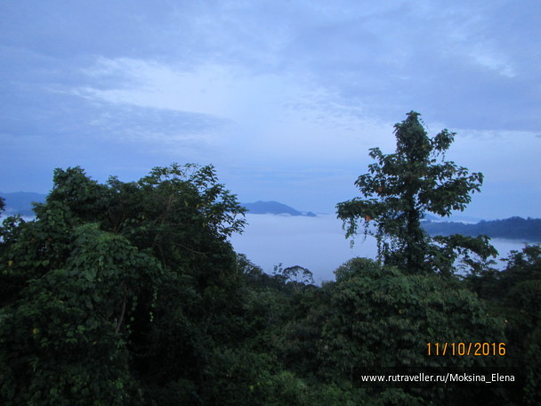 photo 1429153