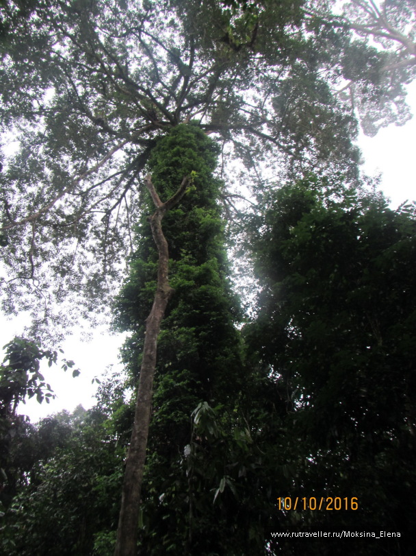 photo 1429154