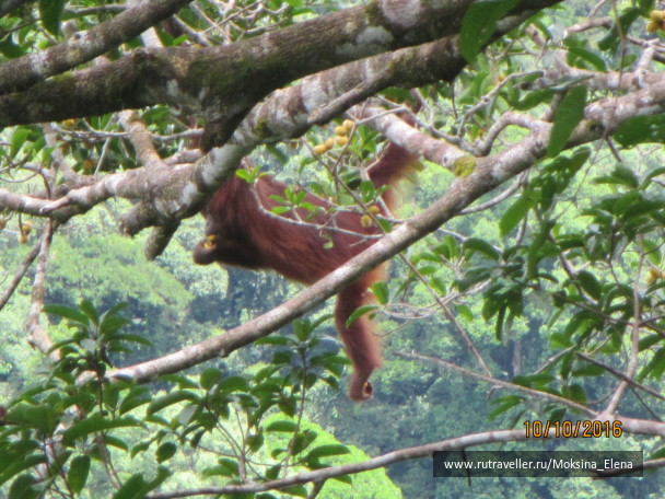 photo 1429155