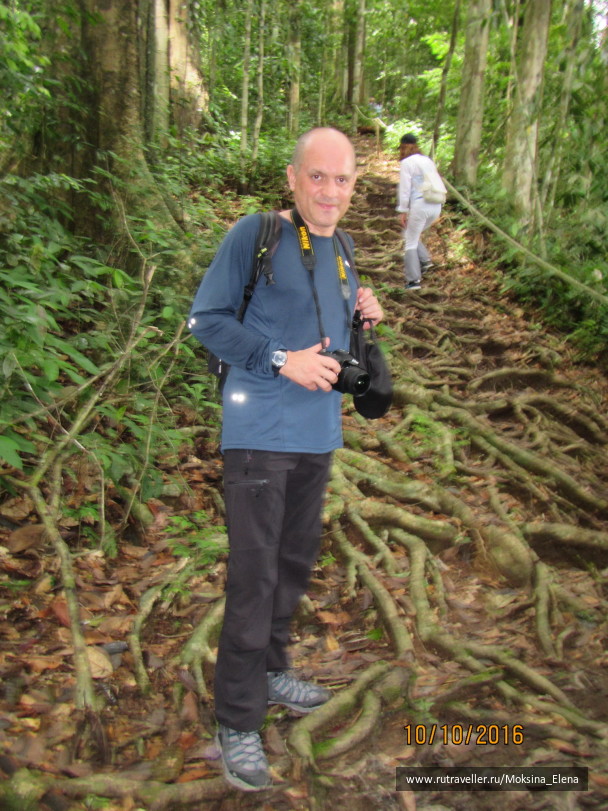 photo 1429156