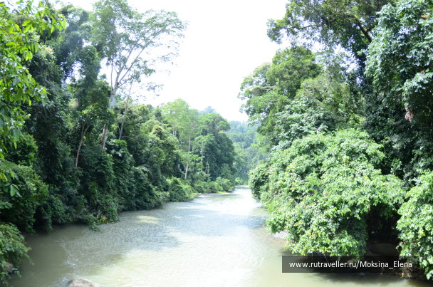 photo 1429162