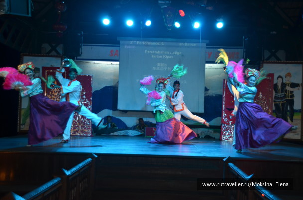 photo 1429164