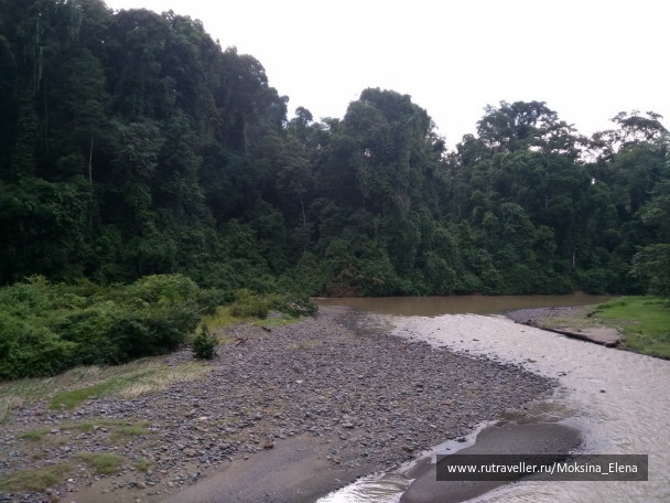 photo 1429173
