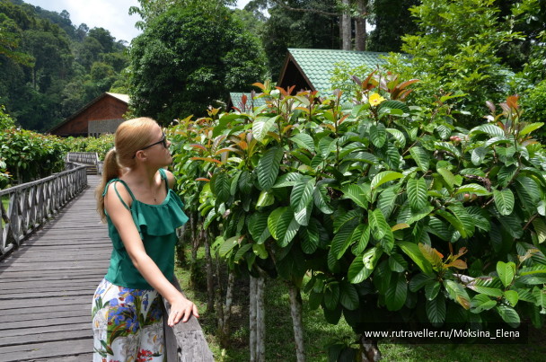 photo 1429175