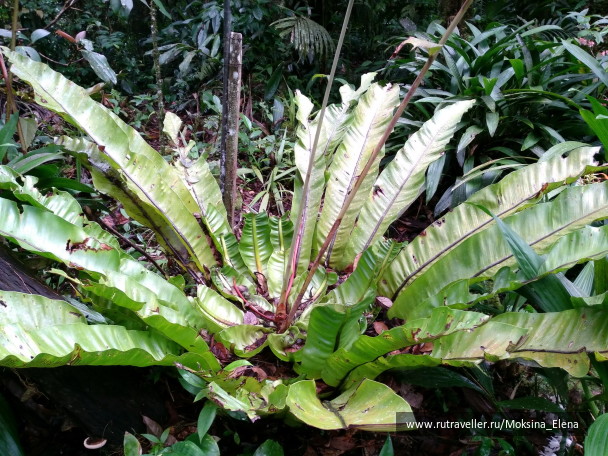 photo 1429202