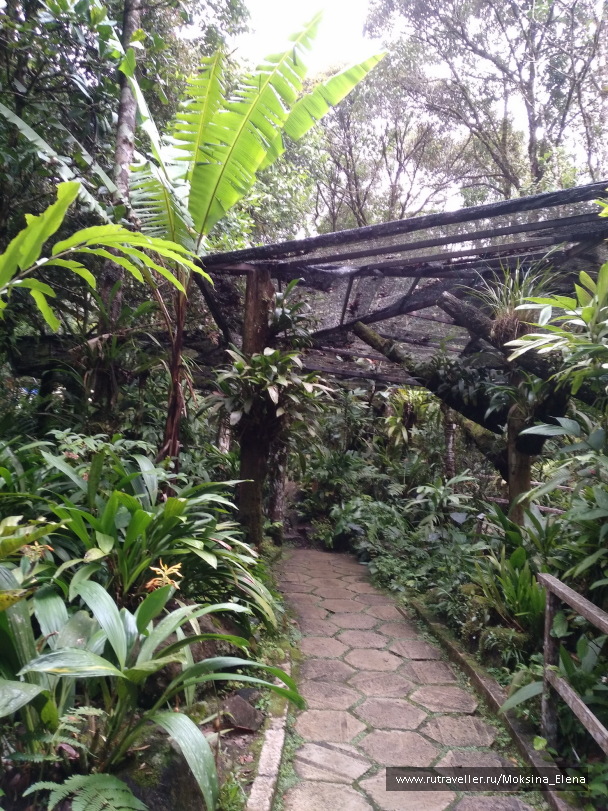 photo 1429203