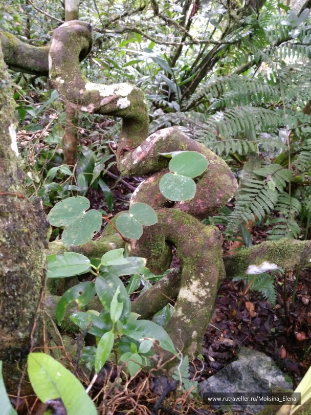 photo 1429205