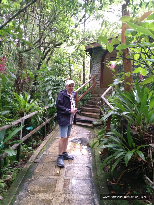 photo 1429207